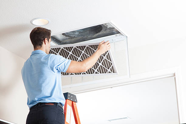 Best Energy-efficient HVAC Solutions in Allendale, SC